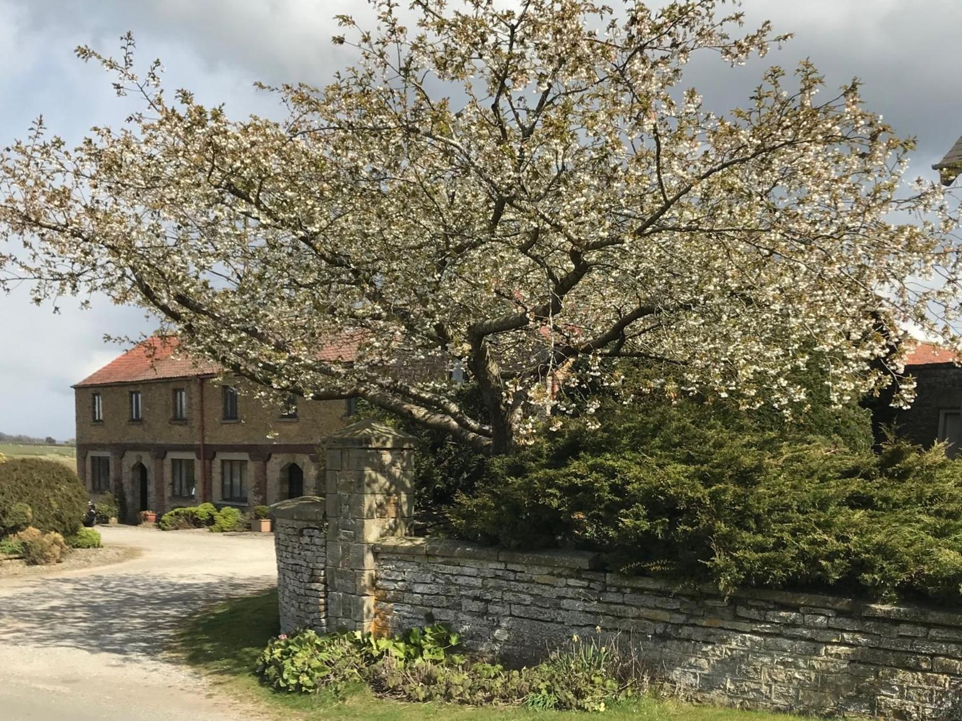 Villa Phlomis York Exterior foto